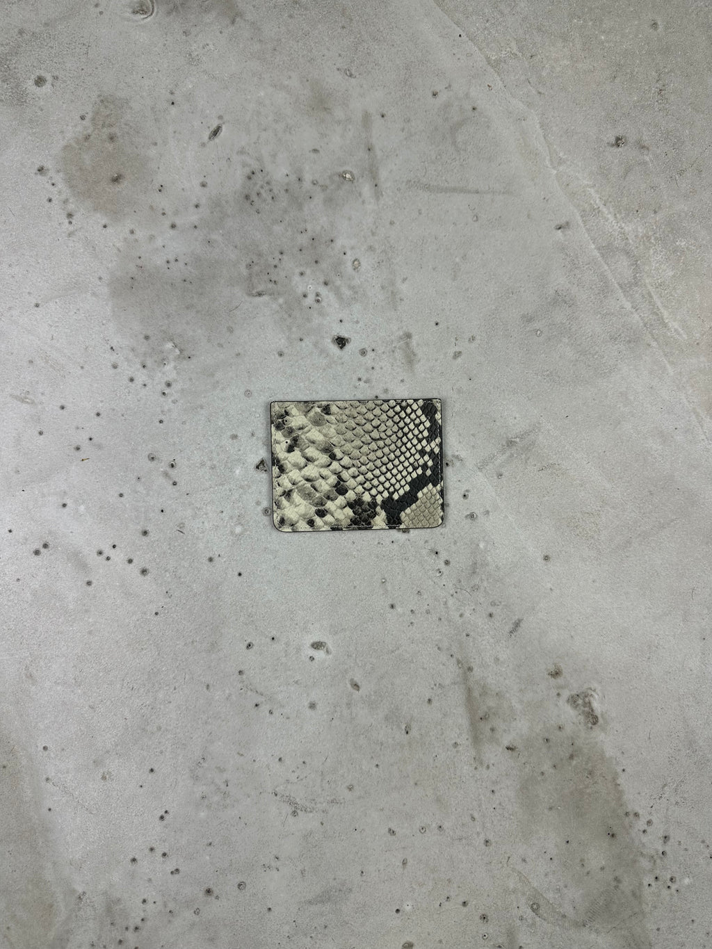 Snakeskin cardholder