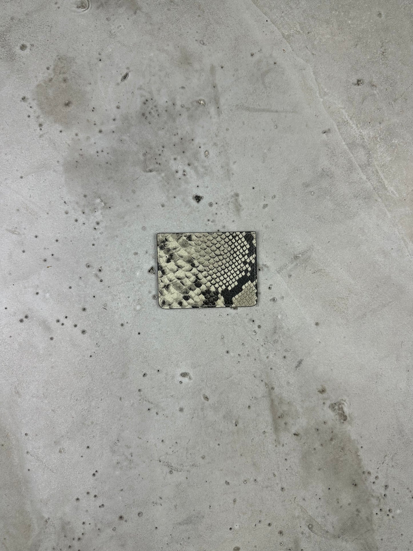 Snakeskin cardholder